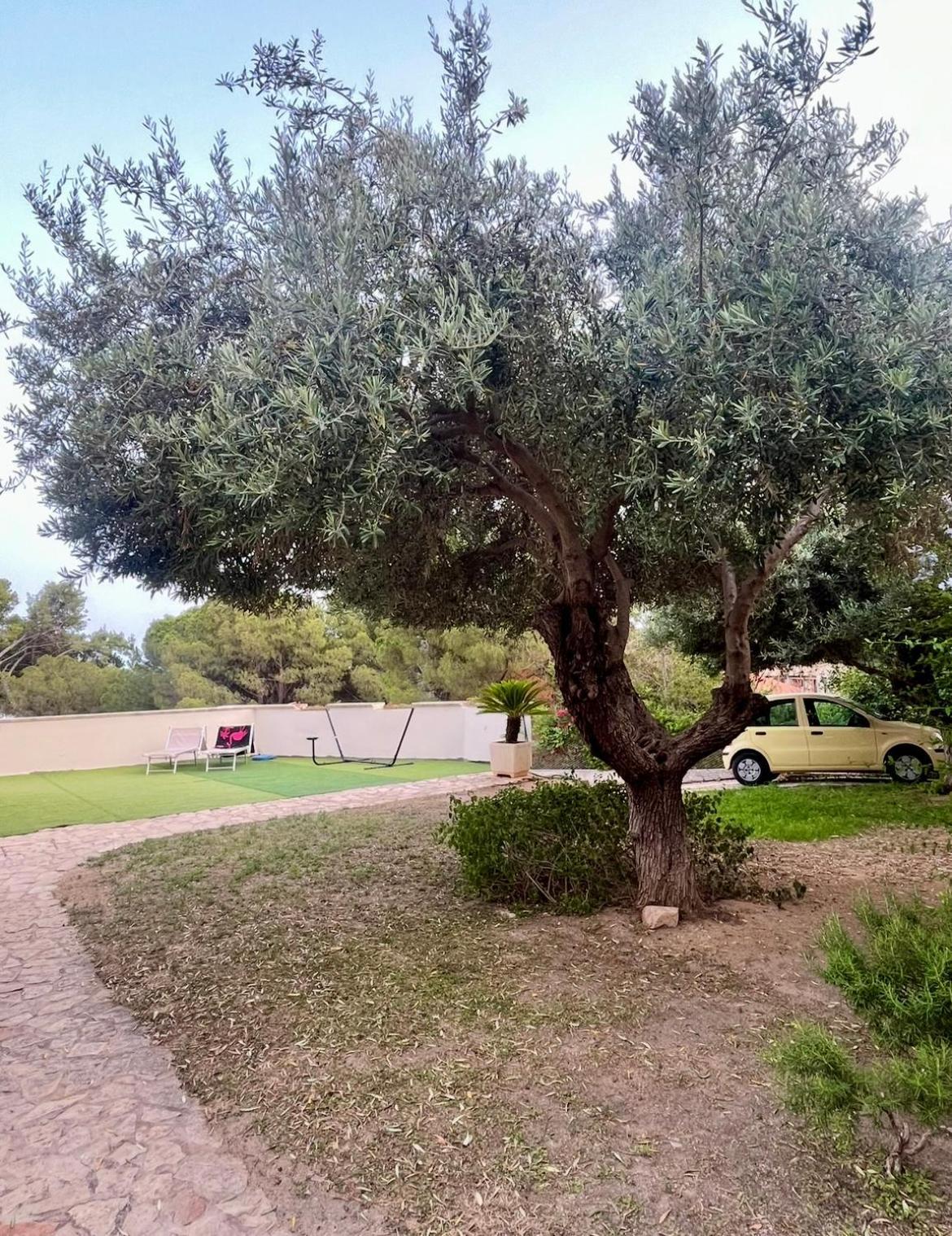 Villa Vittoria Solanas  Luaran gambar